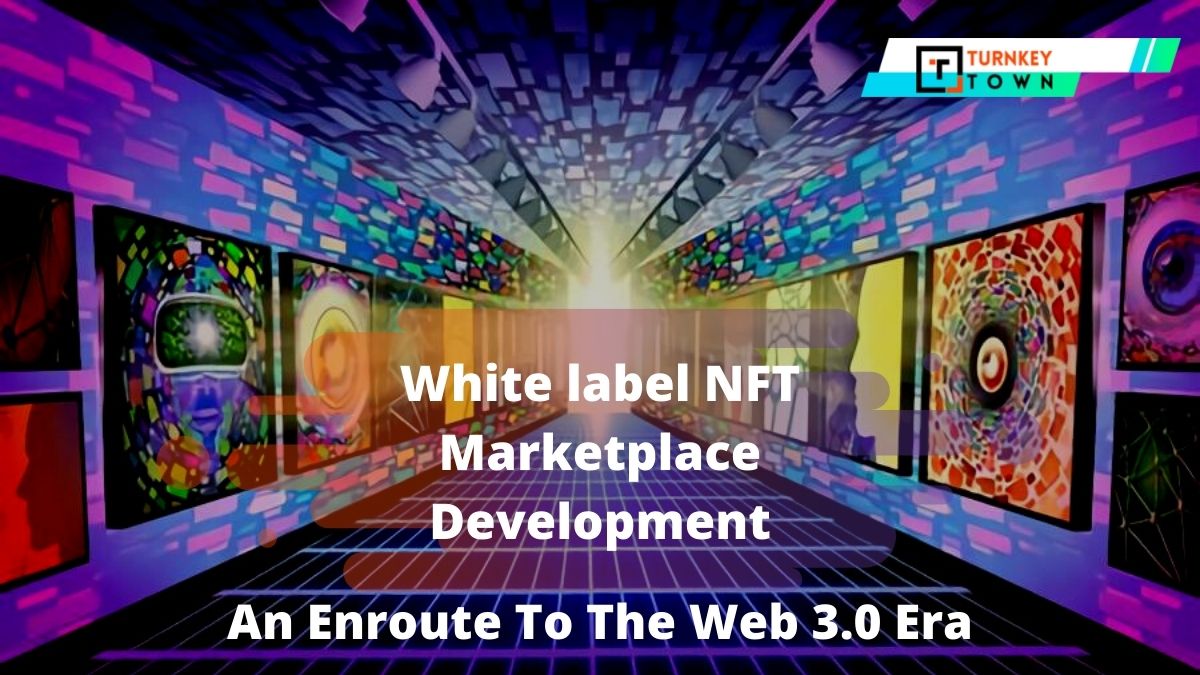 White label NFT Marketplace Development - An Enroute To The Web 3.0 Era