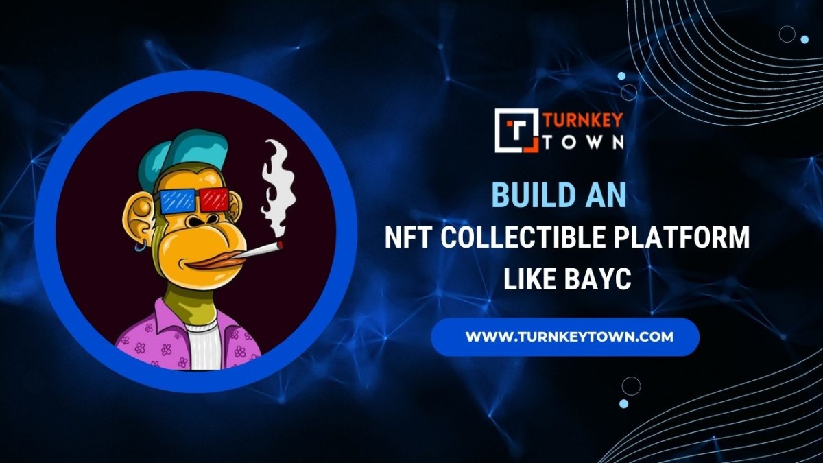 NFT Collectible Platform Like BAYC