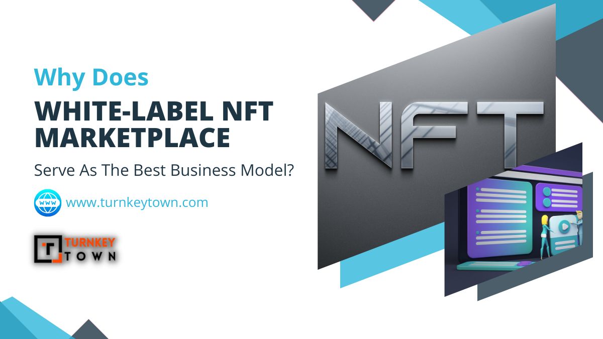 White-label NFT Marketplace Development Company