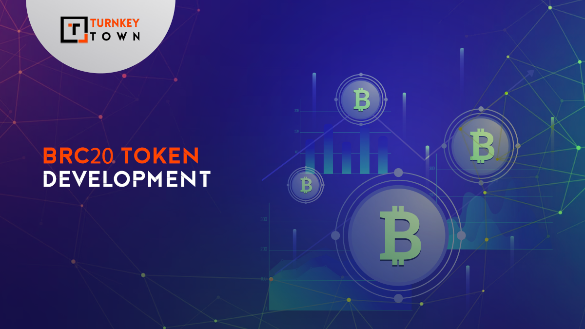 BRC20 Token Development