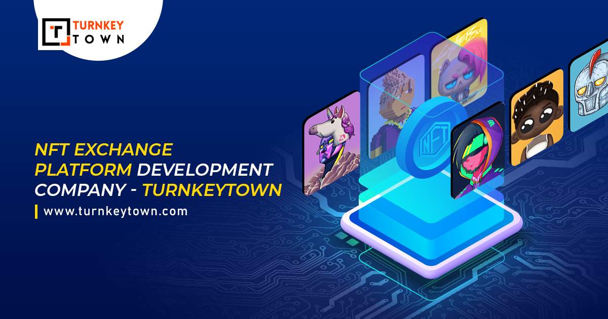 NFT Exchange Platform Development Company